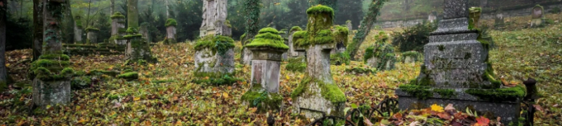 Аксиньинское кладбище - памятники на могилу