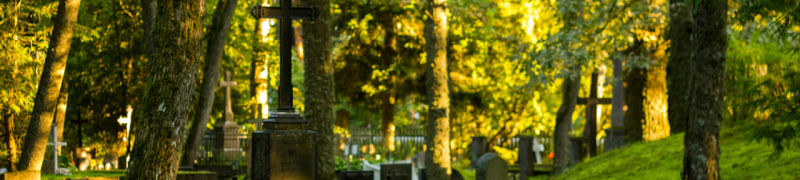 Алексеевское кладбище - памятники на могилу