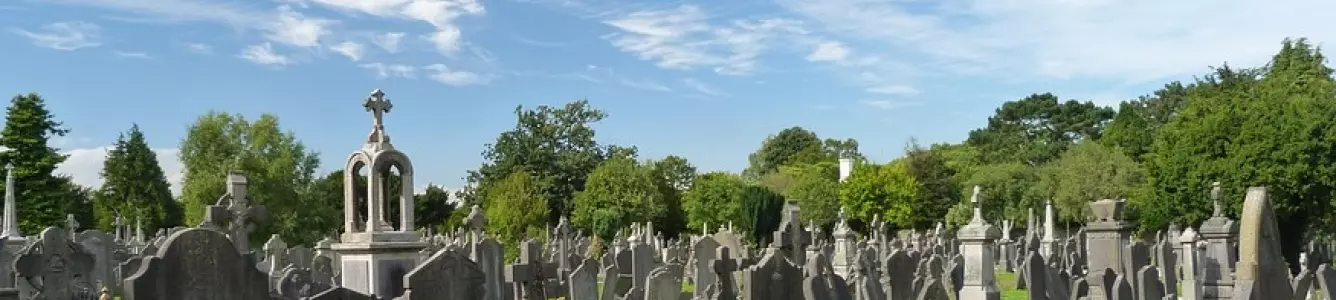 Дунинское кладбище